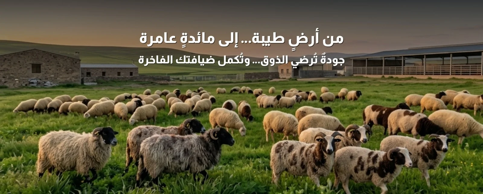 WhatsApp-Image-2026-04-21-at-5.45.57-PM-1